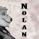 nolanbear avatar