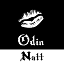 odinnatt avatar