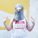 officialpigeonkevin avatar