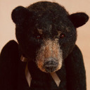 oldcountrybear1955 avatar