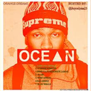 orangexocean-blog avatar