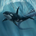 orcinusorca2236 avatar