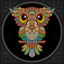 owlspiritofthenight avatar