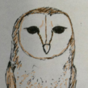 owlstory avatar