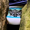 padded-racoon avatar