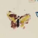 papiliona avatar