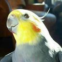 parrotletpeete avatar