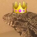 pebblesthetegu-blog avatar