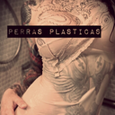 perrasplasticas avatar