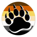 pghbearcub avatar