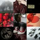 phoenixmoodboards avatar