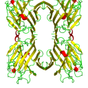 phytohaemagglutinin avatar