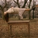 picnicathangingrock-blog avatar