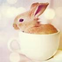 pineapplebunnies avatar