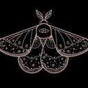 pinnedmoth avatar