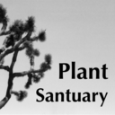 plantsanctuary avatar