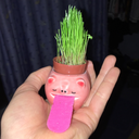 plantstookover avatar