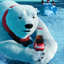 polarbearwithc0ke avatar