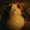 porg-obsessed avatar