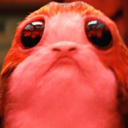 porgporgporgporgporgporg avatar