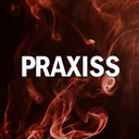 praxissinc avatar