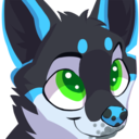 predwolf avatar