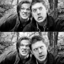 pretty-winchesters-anatomy avatar