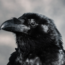 prosperothecrow avatar