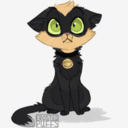 punnyblackcat avatar