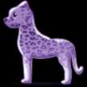 purpleleopardccfinds avatar