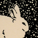 rabbitinthestars avatar