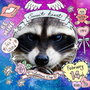 raccoon-mage-reload avatar