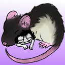 raxit-rat avatar