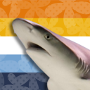 reefsharkblacktip avatar