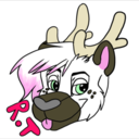 reindeertrash avatar