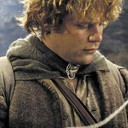 remembertheshiremrfrodo avatar