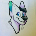 reverbthehusky avatar