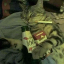 rippingattheseams avatar