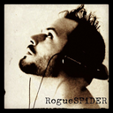 roguespider avatar