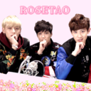 rosetao avatar