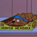 rover-hendrix avatar