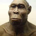 rudolfensis-rules-the-world avatar