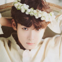 ryeowookiee avatar