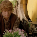 samwise-gamgee avatar