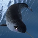 save-the-narwhals avatar