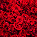 scarletcarsonroses avatar