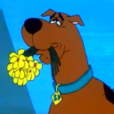 scoobypineapple avatar