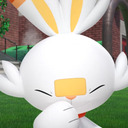 scorbunnyfanclub avatar