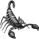 screw-you-imma-be-a-scorpion avatar