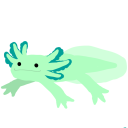 seafoamgreen avatar